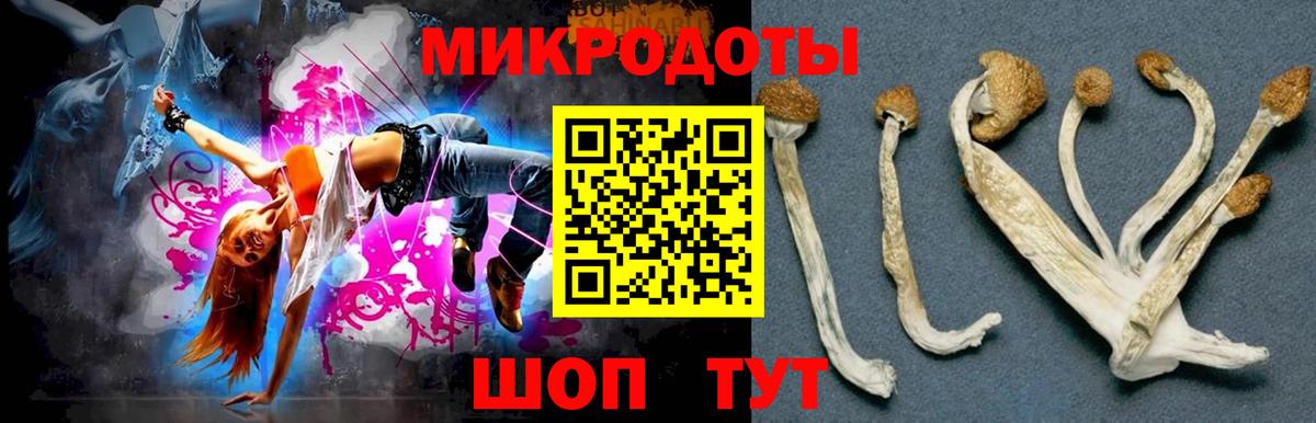 Галлюциногенные грибы Magic Shrooms Вичуга