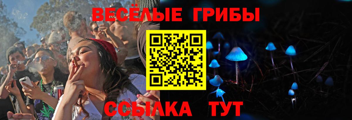 Псилоцибиновые грибы GOLDEN TEACHER  Вход с VPN  Вичуга 